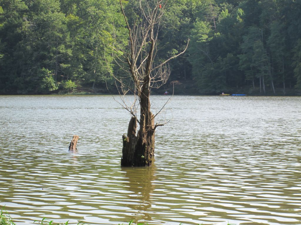 IMG_1882.JPG : Bull Run, we are back! Aug 4, 2013