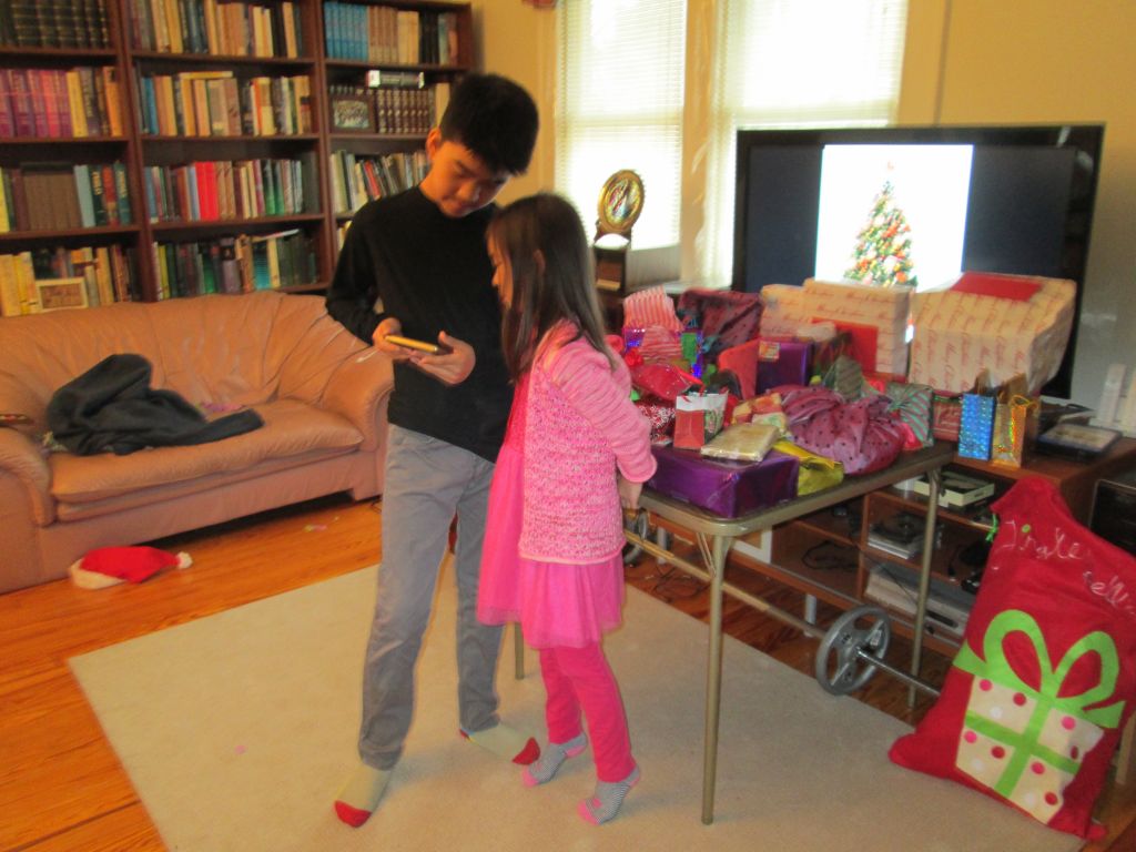 IMG_1417.JPG : Christmas 2015 at our Fort Lee house