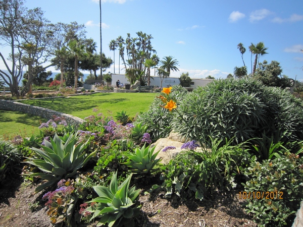 IMG_0066 (600x450).jpg : Oct 10, 2012 Laguna Beach, CA