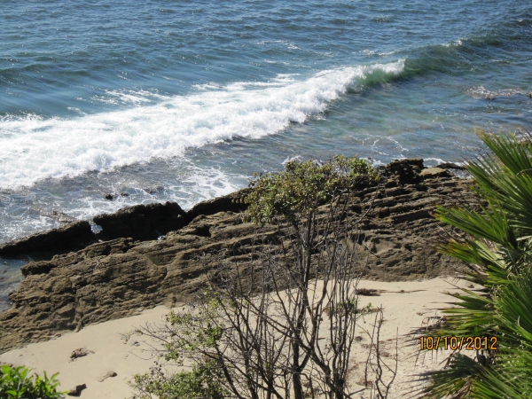 IMG_0085 (600x450).jpg : Oct 10, 2012 Laguna Beach, CA