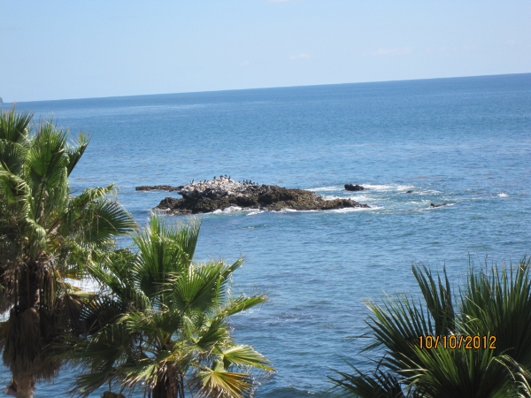 IMG_0075 (600x450).jpg : Oct 10, 2012 Laguna Beach, CA