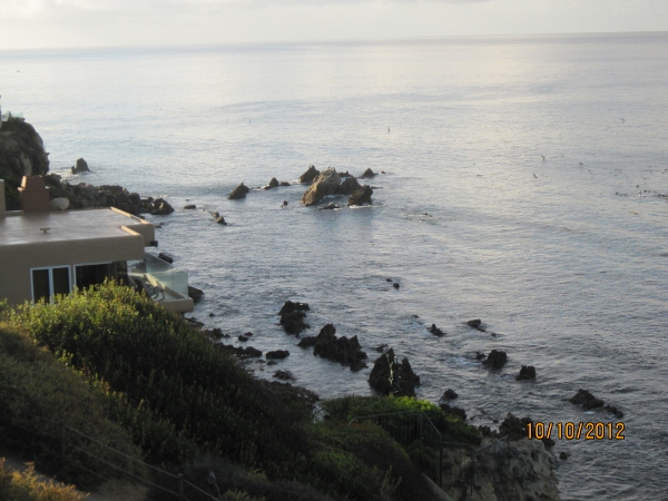 IMG_0047 (600x450).jpg : Oct 10, 2012 Laguna Beach, CA
