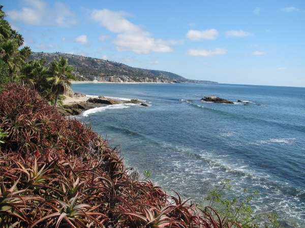 IMG_1336 (600x450).jpg : Oct 10, 2012 Laguna Beach, CA
