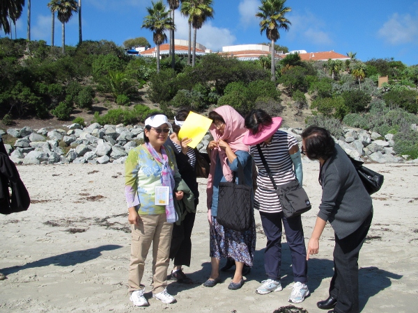 IMG_1352 (600x450).jpg : Oct 10, 2012 Laguna Beach, CA