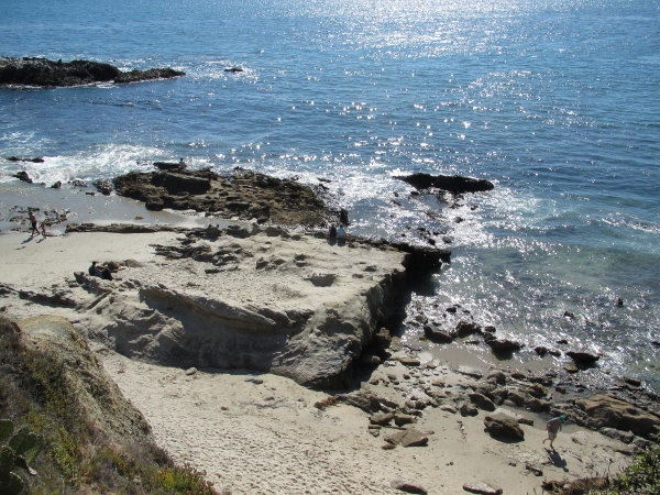 IMG_1343 (600x450).jpg : Oct 10, 2012 Laguna Beach, CA