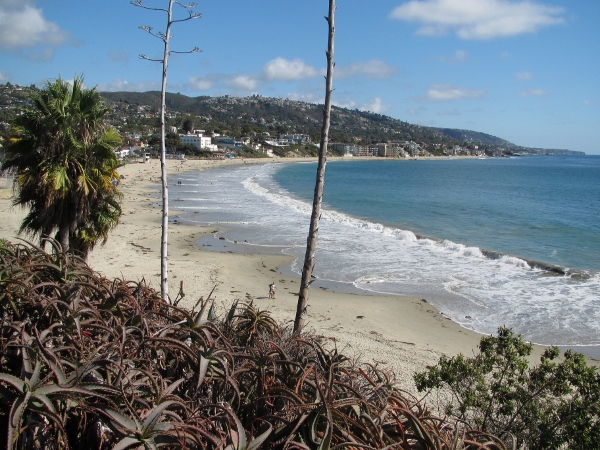 IMG_1344 (600x450).jpg : Oct 10, 2012 Laguna Beach, CA