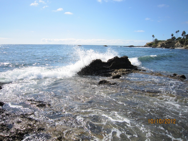 IMG_0095 (600x450).jpg : Oct 10, 2012 Laguna Beach, CA