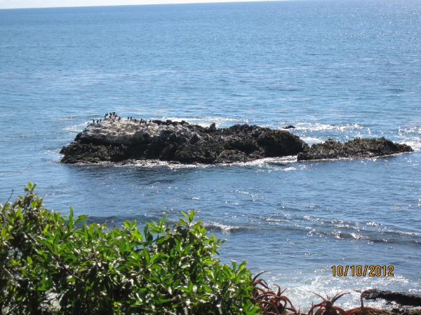 IMG_0081 (600x450).jpg : Oct 10, 2012 Laguna Beach, CA