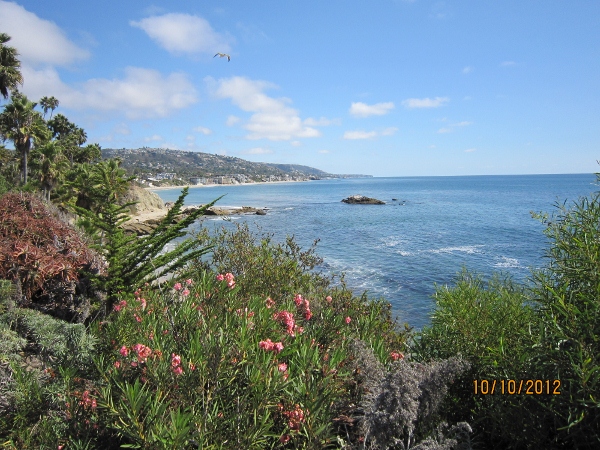 IMG_0073 (600x450).jpg : Oct 10, 2012 Laguna Beach, CA