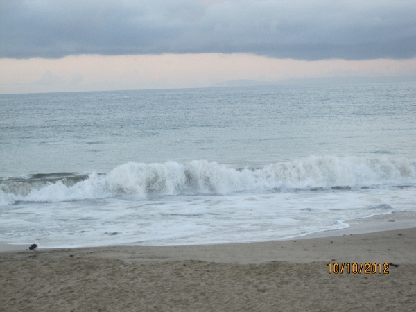 IMG_0021 (600x450).jpg : Oct 10, 2012 Laguna Beach, CA