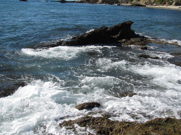 IMG_1371 (600x450).jpg : Oct 10, 2012 Laguna Beach, CA