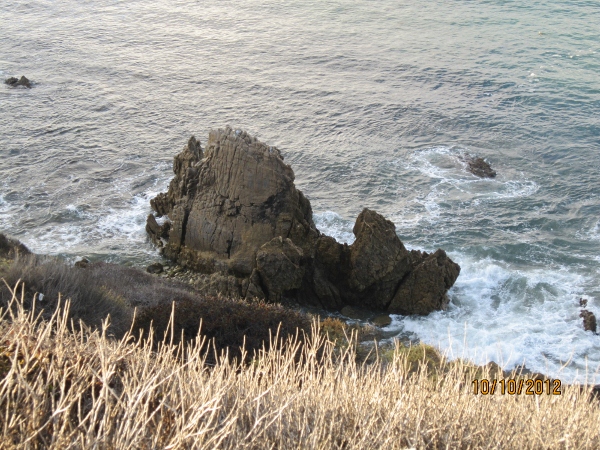 IMG_0046 (600x450).jpg : Oct 10, 2012 Laguna Beach, CA