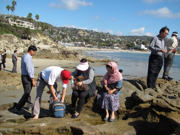 IMG_1372 (600x450).jpg : Oct 10, 2012 Laguna Beach, CA