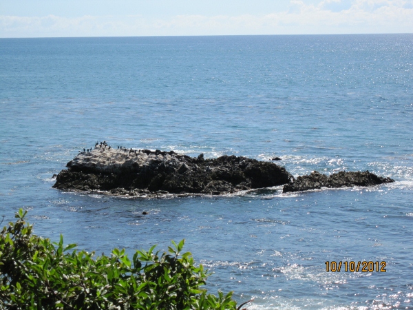 IMG_0082 (600x450).jpg : Oct 10, 2012 Laguna Beach, CA