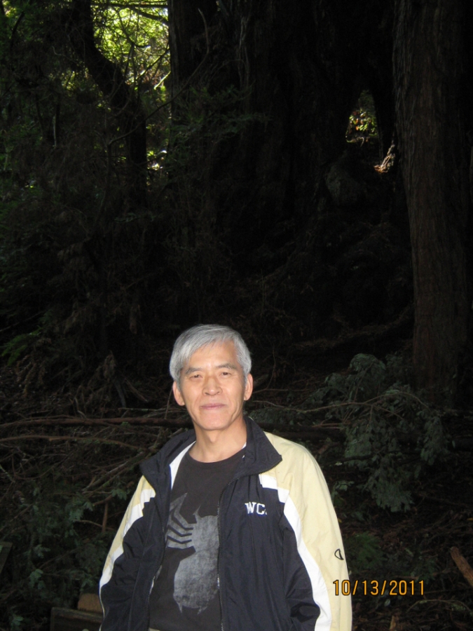 Photo Editor_111013b Muir Wood.JPG : San Francisco Trip (1) The Muir Woods Park