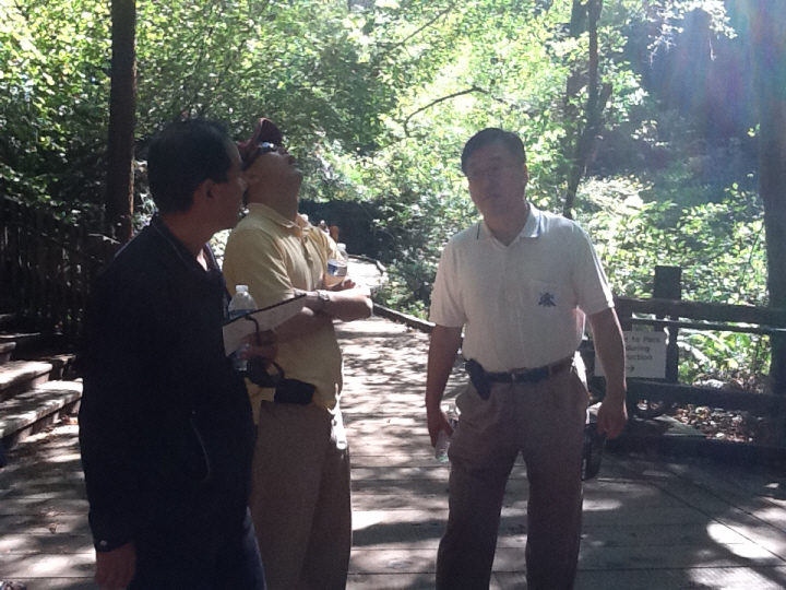 Photo Editor_456.JPG : San Francisco Trip (1) The Muir Woods Park