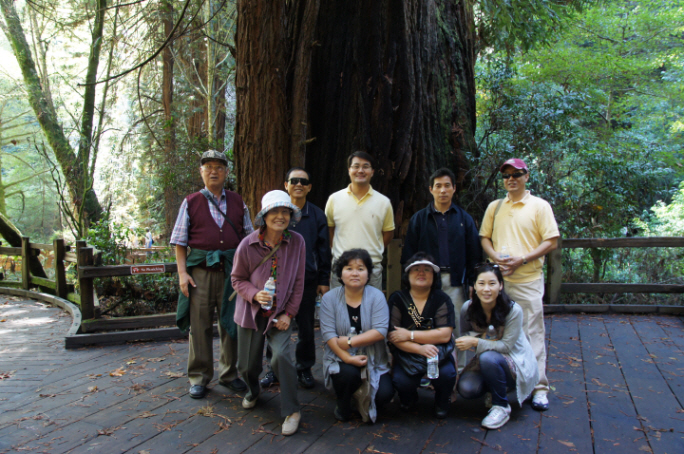 Photo Editor_111013v Muir Wood.JPG : San Francisco Trip (1) The Muir Woods Park