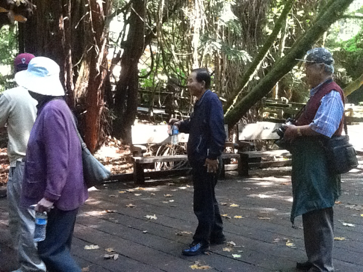 Photo Editor_461.JPG : San Francisco Trip (1) The Muir Woods Park