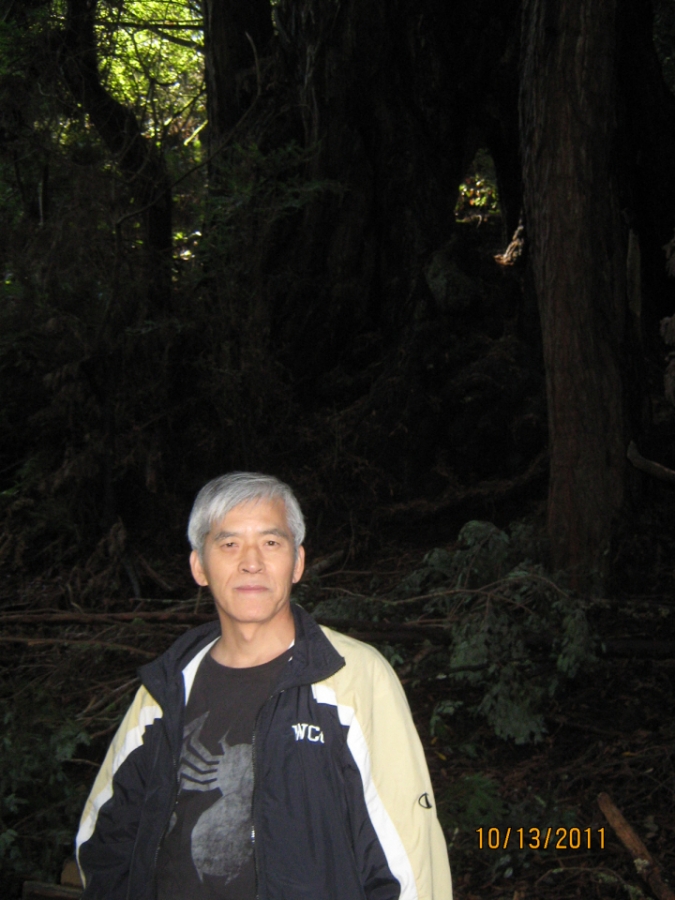 Photo Editor_111013a Muir Wood.JPG : San Francisco Trip (1) The Muir Woods Park