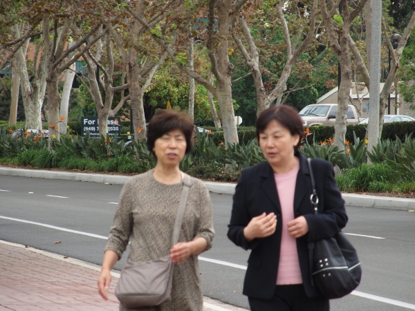 IMG_1479 (600x450).jpg : Oct 11, 2012 Irvine, CA