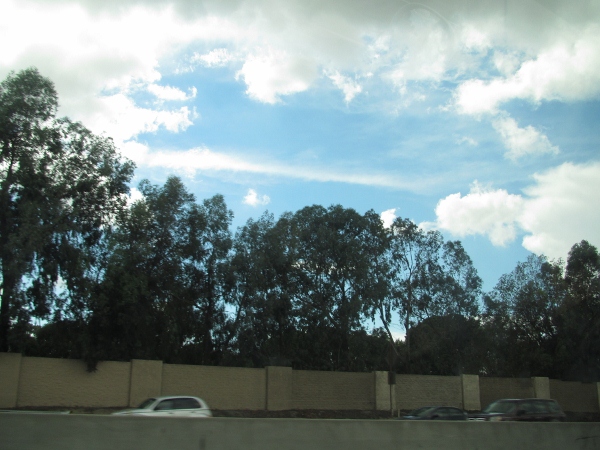 IMG_1496 (600x450).jpg : Oct 11, 2012 Irvine, CA