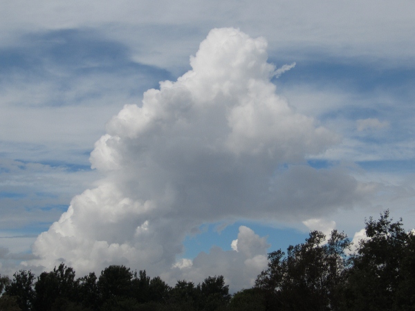IMG_1444 (600x450).jpg : Oct 11, 2012 Irvine, CA