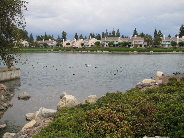 IMG_1428 (600x450).jpg : Oct 11, 2012 Irvine, CA