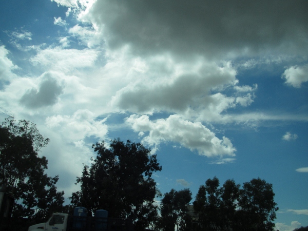IMG_1495 (600x450).jpg : Oct 11, 2012 Irvine, CA