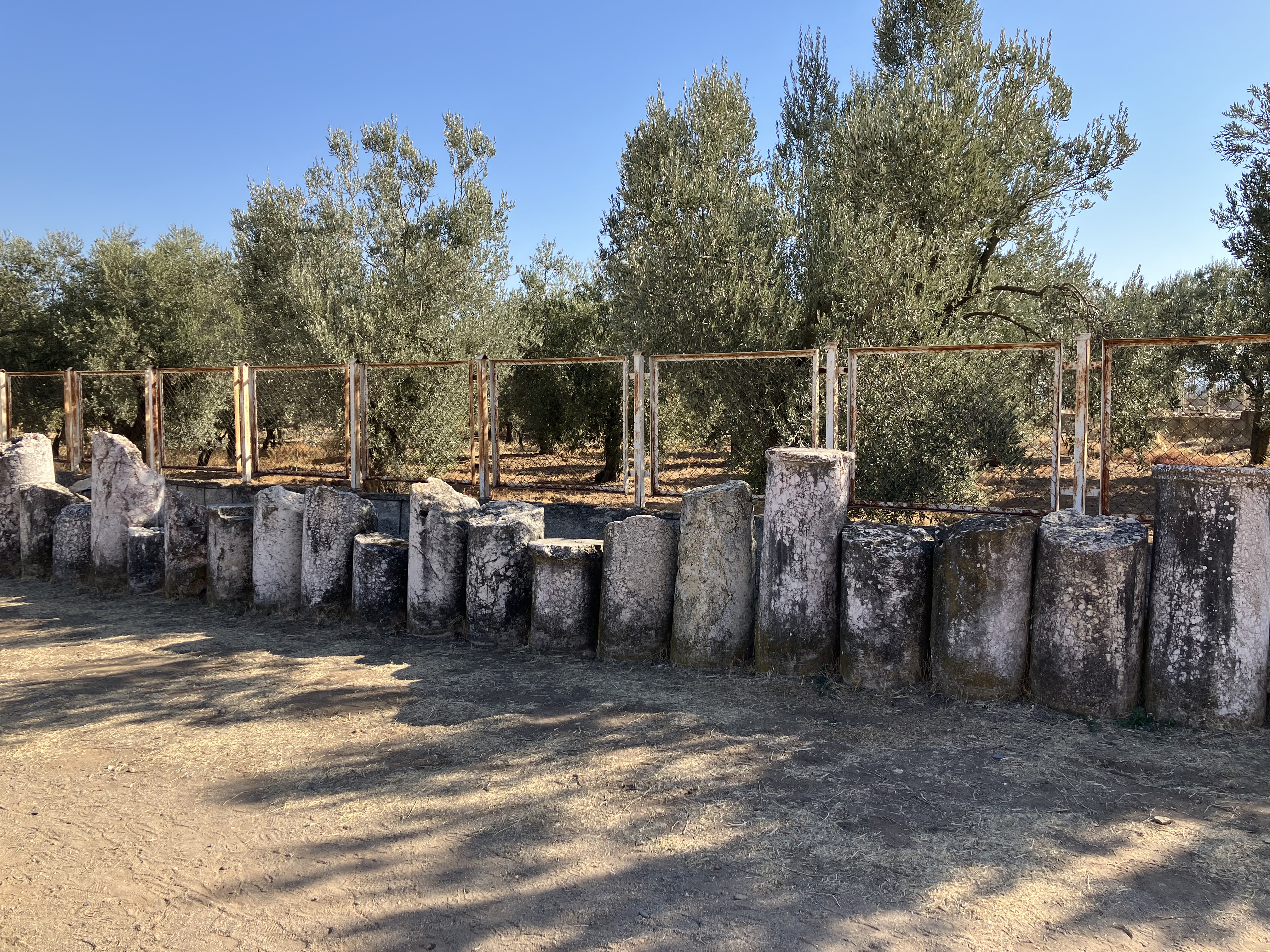 IMG_3103.JPG : The Ancient Remains of Sardes on Nov 6, 2024