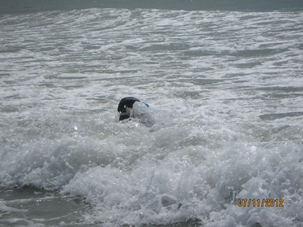 IMG_2632.JPG : Myrtle Beach, SC July, 2012